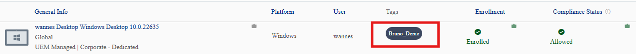 UEM console with added tag shown