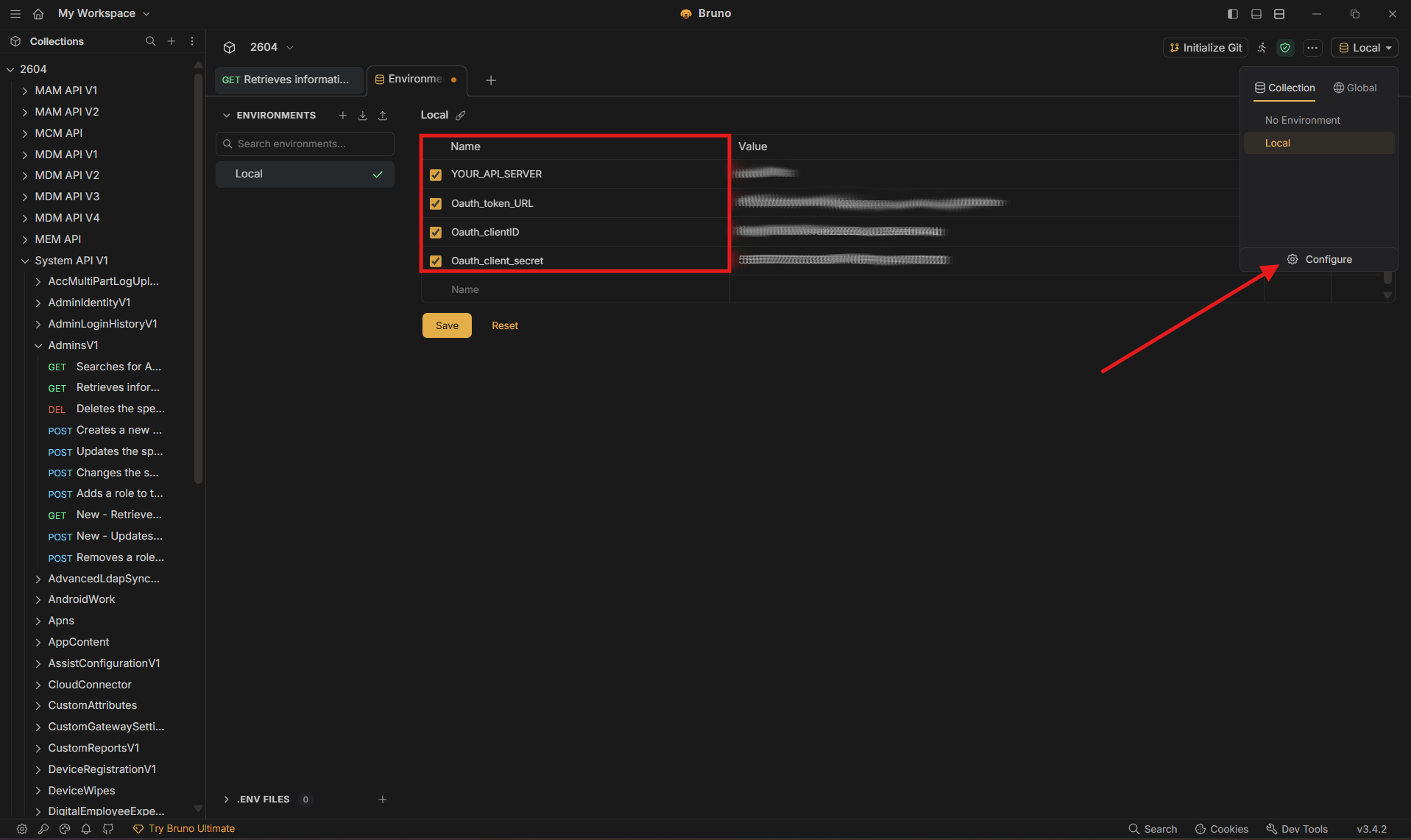 Configuring environment variables