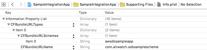 Raw Keys Sample Integration info.plist